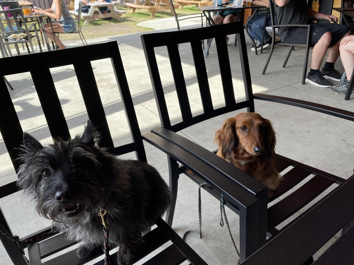 Rapids Brewing Company restaurant view 1