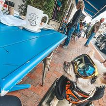 Toast & Co. restaurant view 1