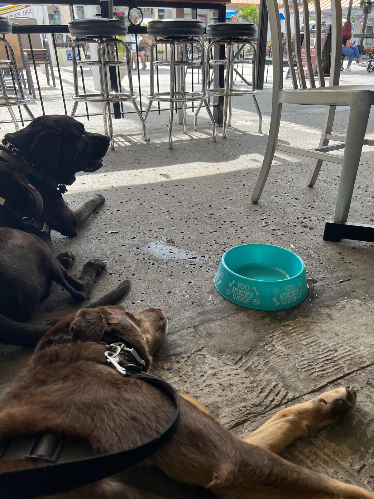 Anclote Brew restaurant view 1