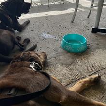 Anclote Brew restaurant view 1