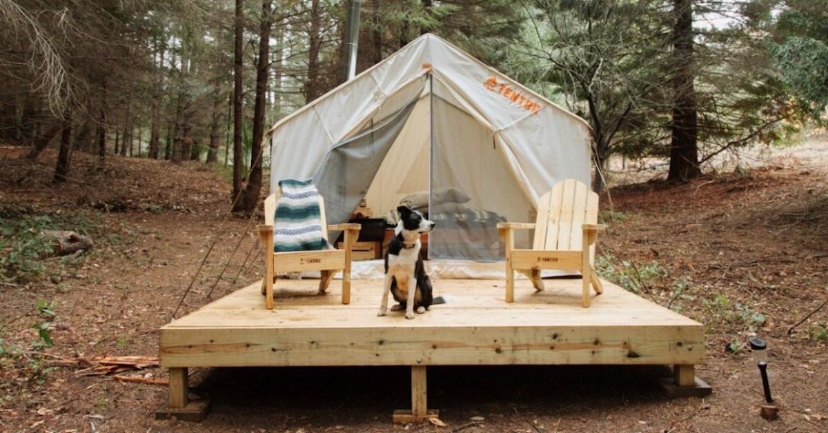 Airbnbs to Glamp With Your Dog