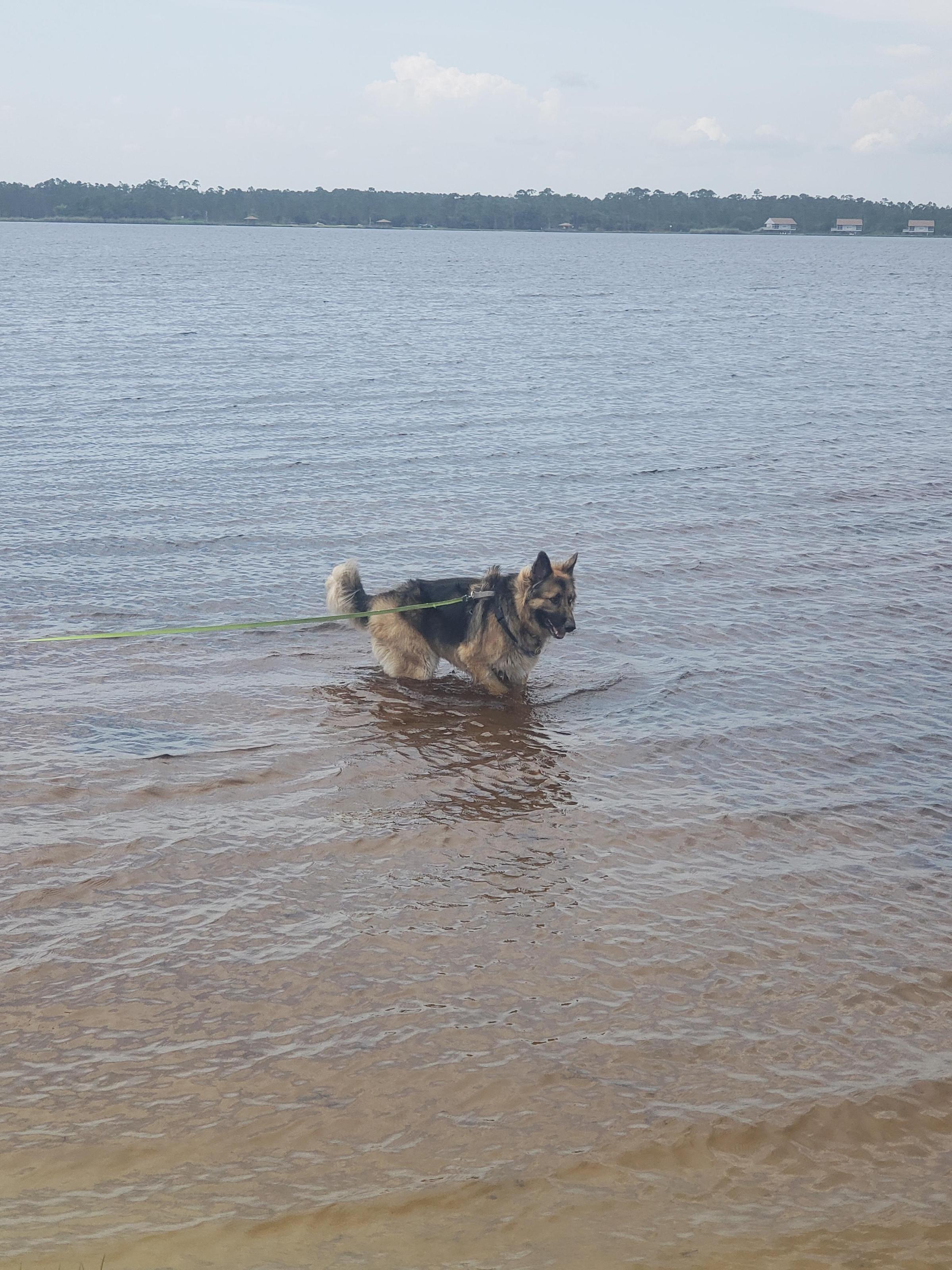Gulf Shores State Park ⋆ BringFido