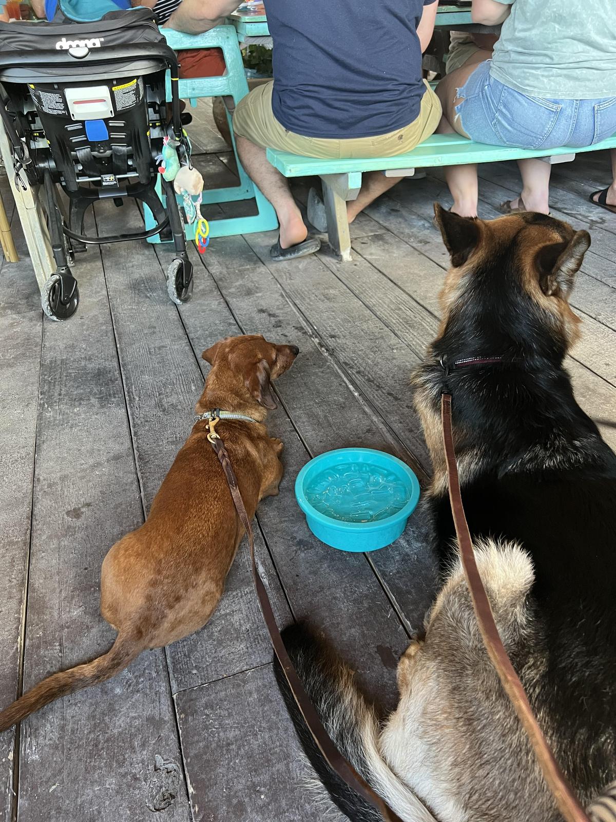 Porky's Bayside BBQ restaurant view 4