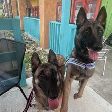 Hunter's Bar and Grill restaurant view 1