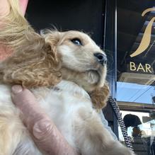 R Bar & Grill restaurant view 3