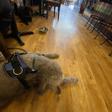 M.B. Haskett Delicatessen restaurant view 1