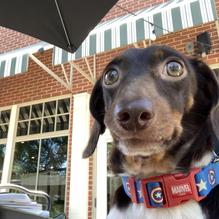 Coal Fire restaurant view 2