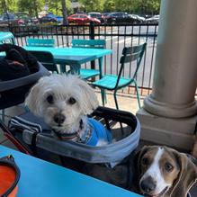 Monterrey Mexican Restaurant restaurant view 1