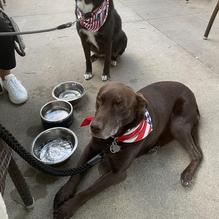 Granite City Food & Brewery restaurant view 3