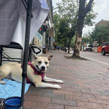 Luna Blu restaurant view 1