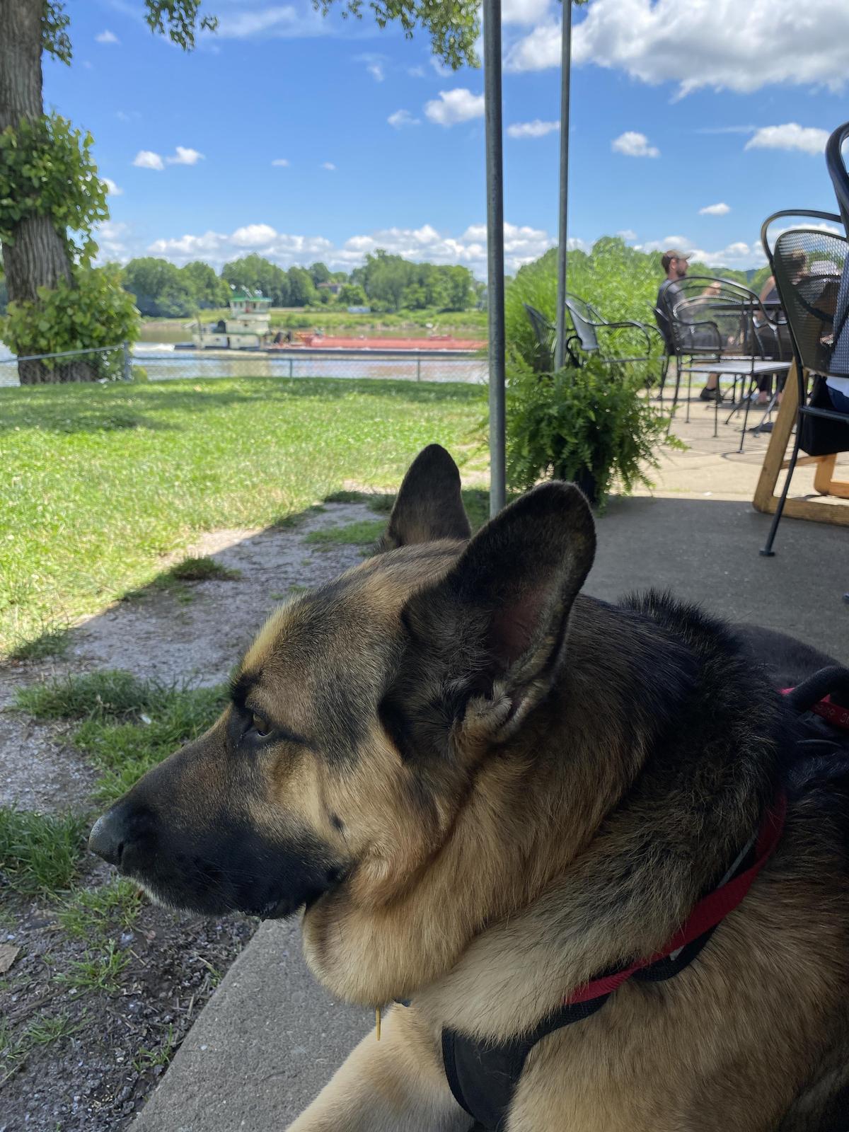Boathouse BBQ restaurant view 3