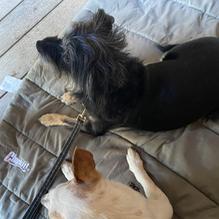 Bagby restaurant view 3