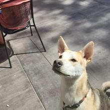 Recovery Room Sports Pub & Grill restaurant view 1