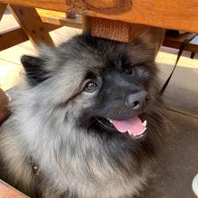 Hilltown Tavern restaurant view 1