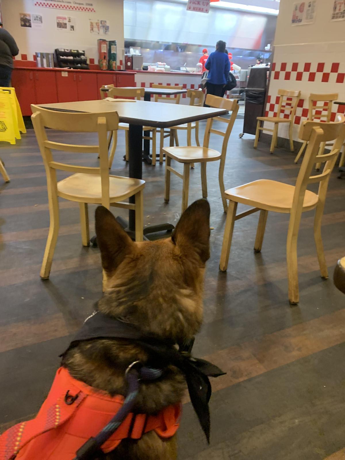 Five Guys restaurant view 1