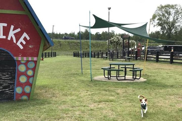 A dog runs next to a dog house at Spike's Dog Park