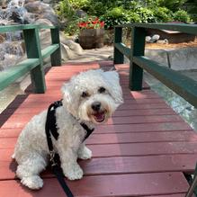 Drive-In restaurant view 6