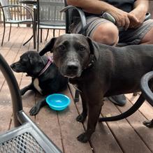 Wild Thyme Cafe restaurant view 3