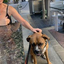 Glenn's Cafe restaurant view 1