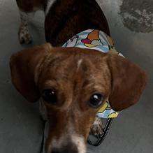 Oceanside Broiler restaurant view 3