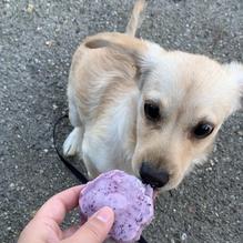 The Comfy Cow restaurant view 1