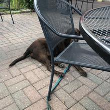 Danny's on Douglas restaurant view 1