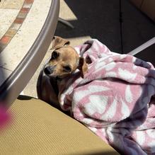 San Simeon Beach Bar & Grill restaurant view 1