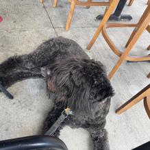 City Barbeque and Catering restaurant view 2