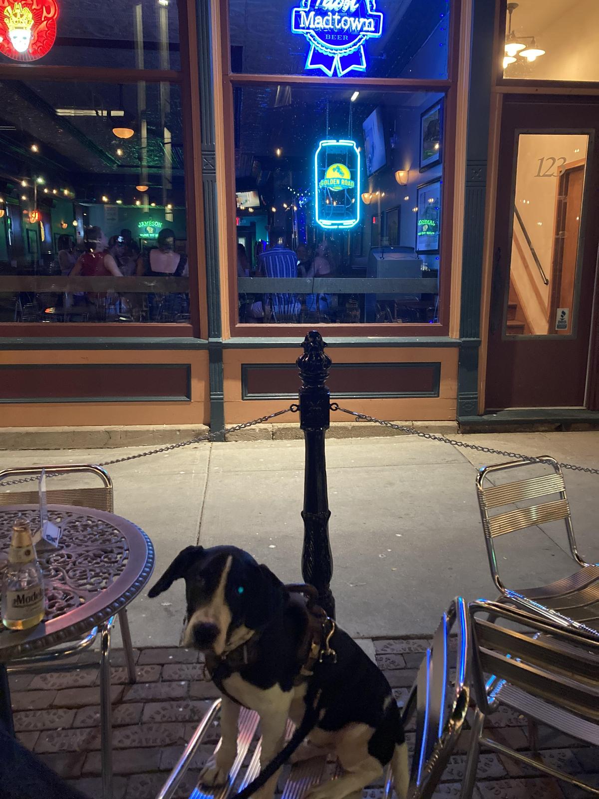 Argus Bar & Grill restaurant view 1