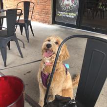 Lovin' Oven Pizzeria restaurant view 1