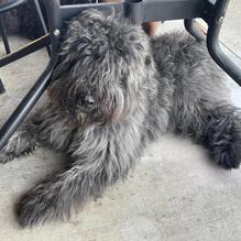 City Barbeque and Catering restaurant view 1