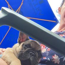 Harbor View Restaurant restaurant view 4