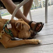 The Asylum restaurant view 6