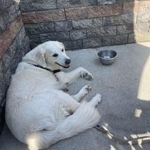 Maritime Grill restaurant view 2