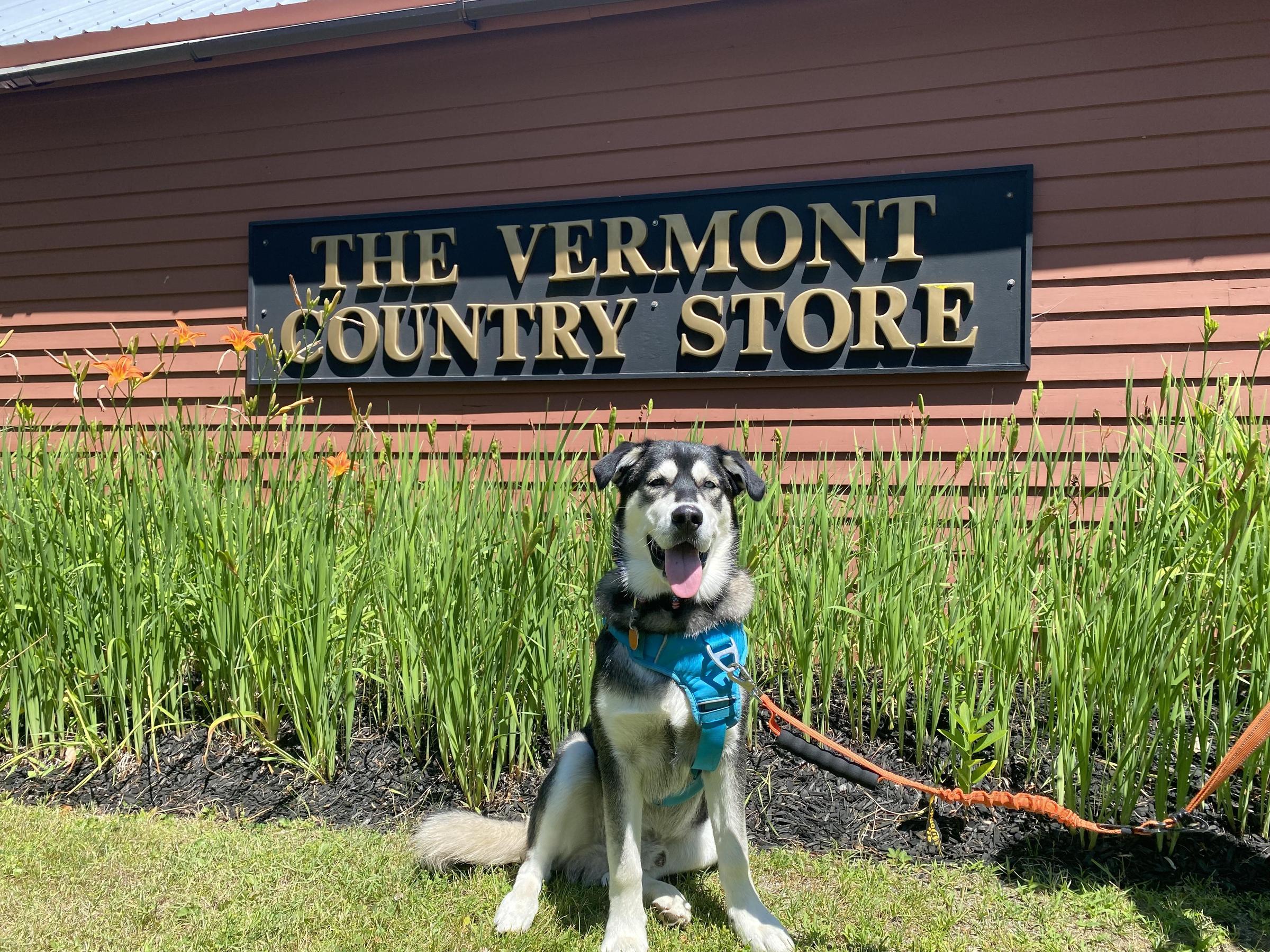 Pet Friendly The Vermont Country Store