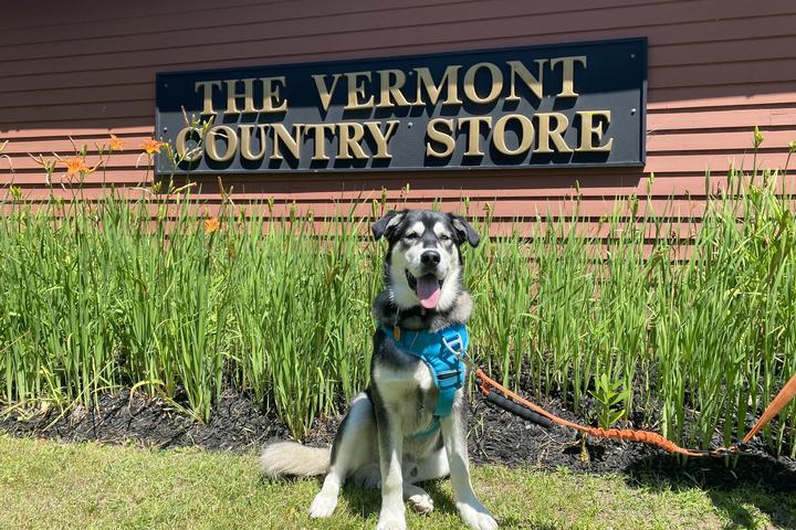 Pet Friendly The Vermont Country Store