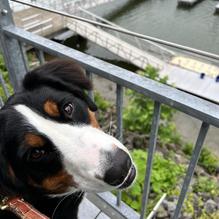 Table9 restaurant view 2