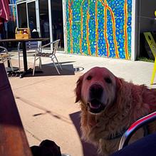 Pak's Backyard restaurant view 1