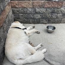 Maritime Grill restaurant view 1