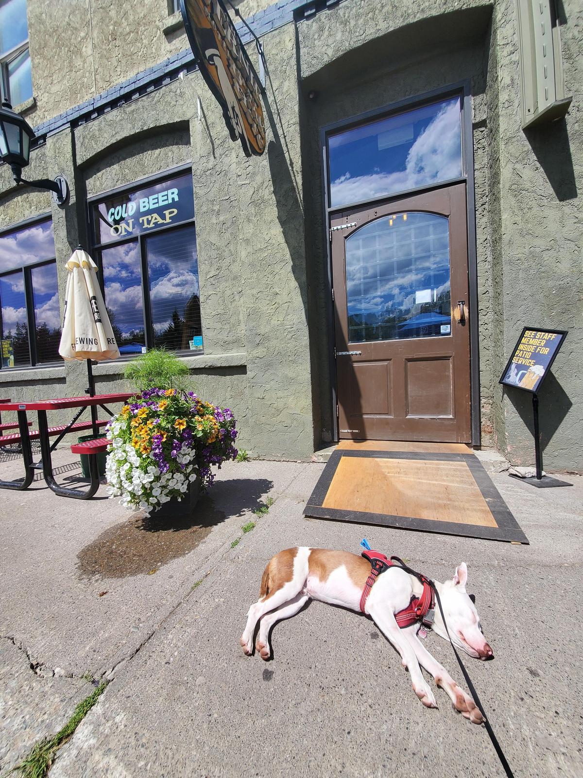 The Fernie Hotel and Pub restaurant view 1