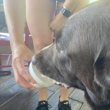 Rooster's Roadhouse restaurant view 1