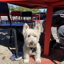 Joe's Taco Lounge & Salsaria restaurant view 1