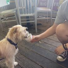 Rooster's Roadhouse restaurant view 2