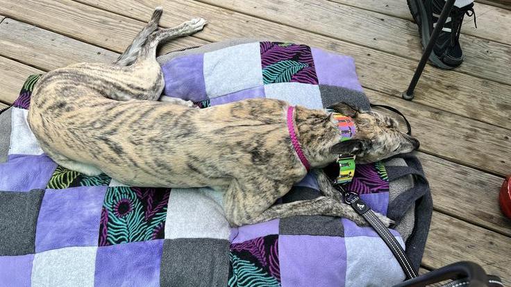 Covered Bridge Farm Table restaurant view 1