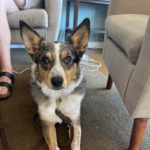 Lynnhaven Coffee Company restaurant view 3