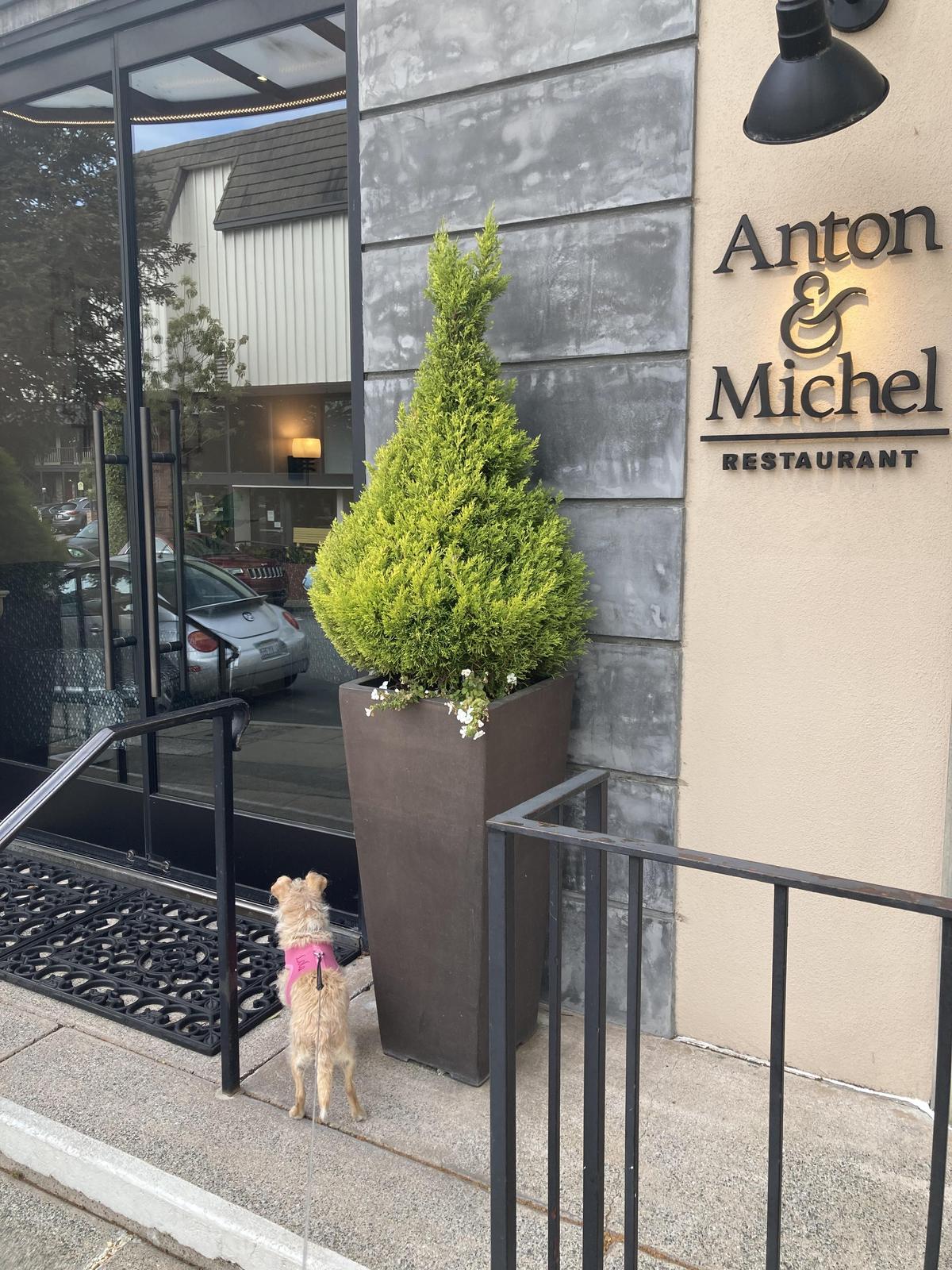 Anton & Michel restaurant view 3