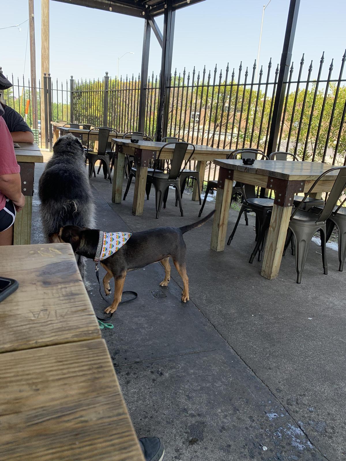 Cellarman's Pub & Brewery restaurant view 1