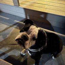 Oceanside Broiler restaurant view 2