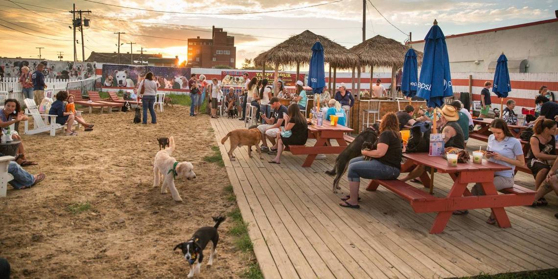 Pet friendly online jersey shore rentals