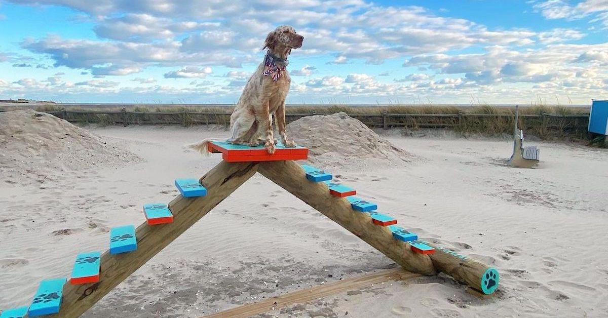 BringFido's Guide to the Jersey Shore